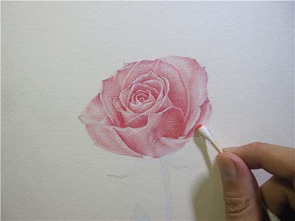 纸上彩铅--《玫瑰系贰》随录（图ZMTIwNjAyOTY=） - 绘画 - 站酷设计师超超的青葱原创素材 - 站酷ZCOOL