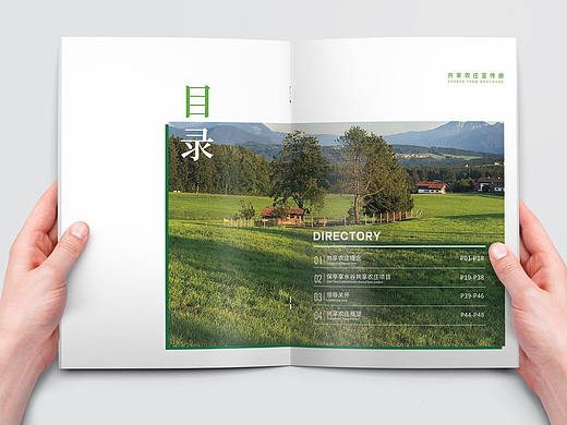 农庄/农业/地产/画册设计