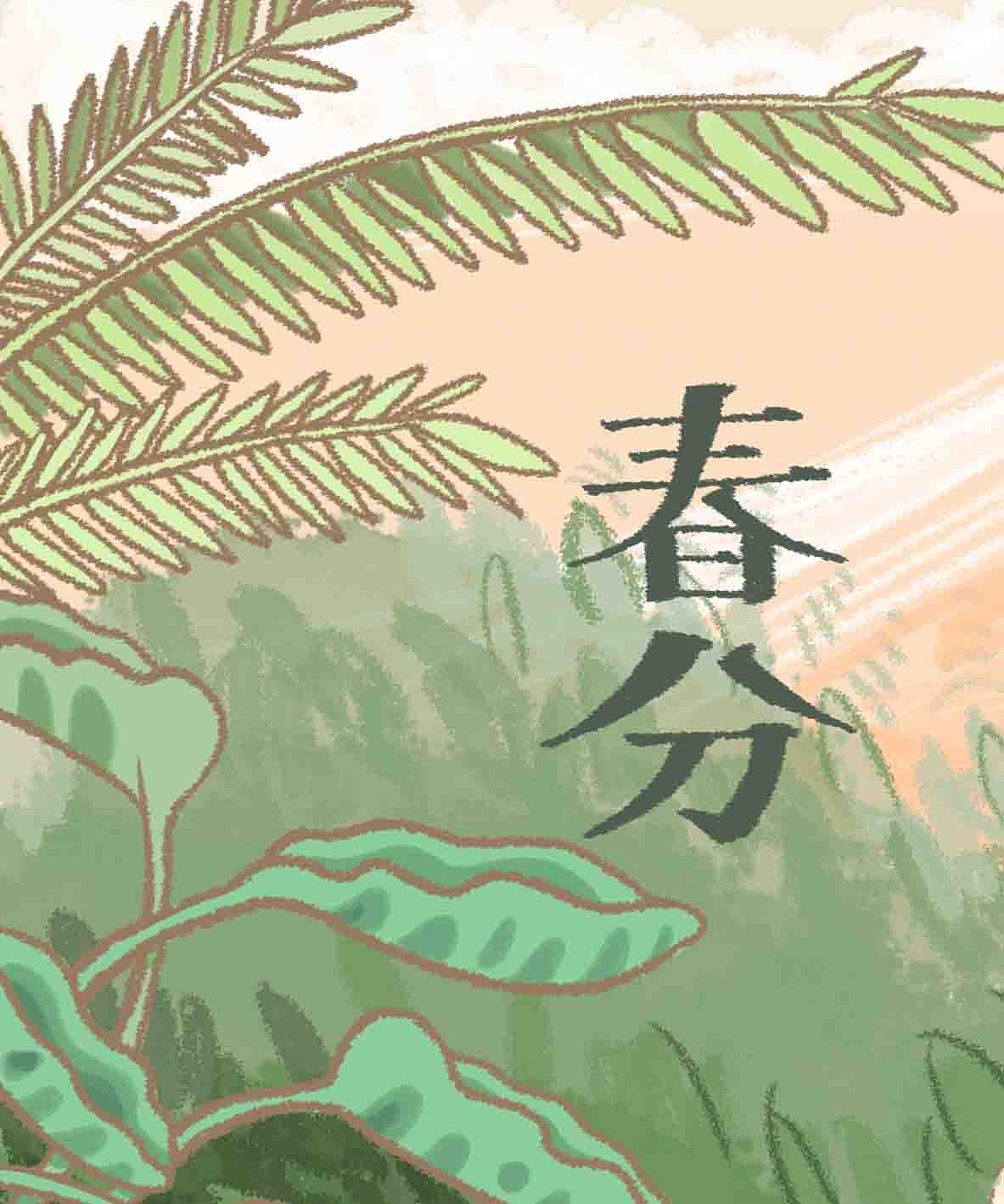 LILYLEE原创插画作品-春分