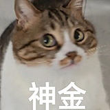 abby_M的头像