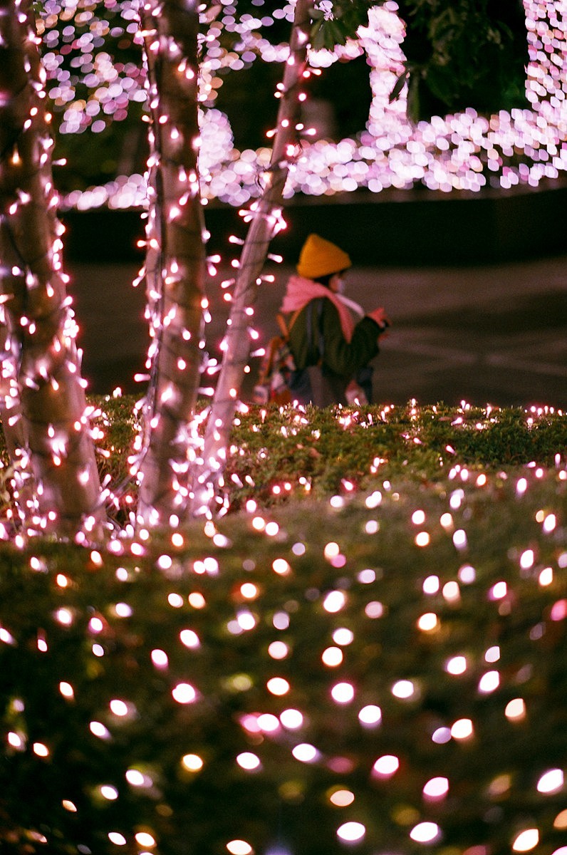 岛国の浅摄纪行——胶卷篇(下)