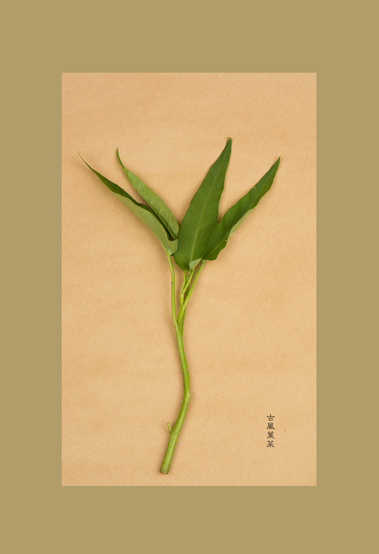 古風(fēng)食意（圖ZNjE4MDI4OTY=） - 產(chǎn)品攝影 - 站酷設(shè)計(jì)師蔣小那原創(chuàng)素材 - 站酷ZCOOL