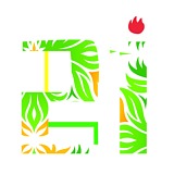 21design的头像