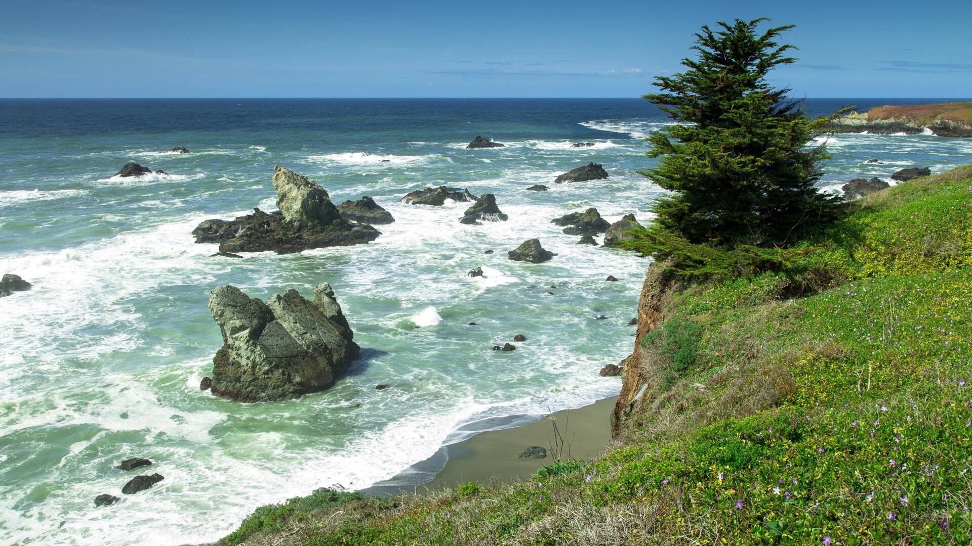 太平洋风景3k动态壁纸