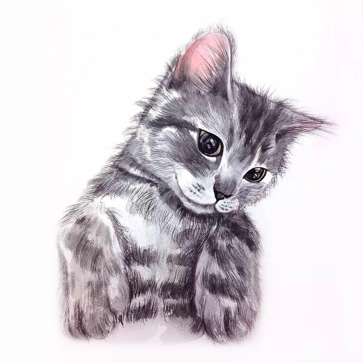 #存图# 没完成的100只猫（图ZMTc0MDM1ODcy） - 创作习作 - 站酷设计师汪野心原创素材 - 站酷ZCOOL