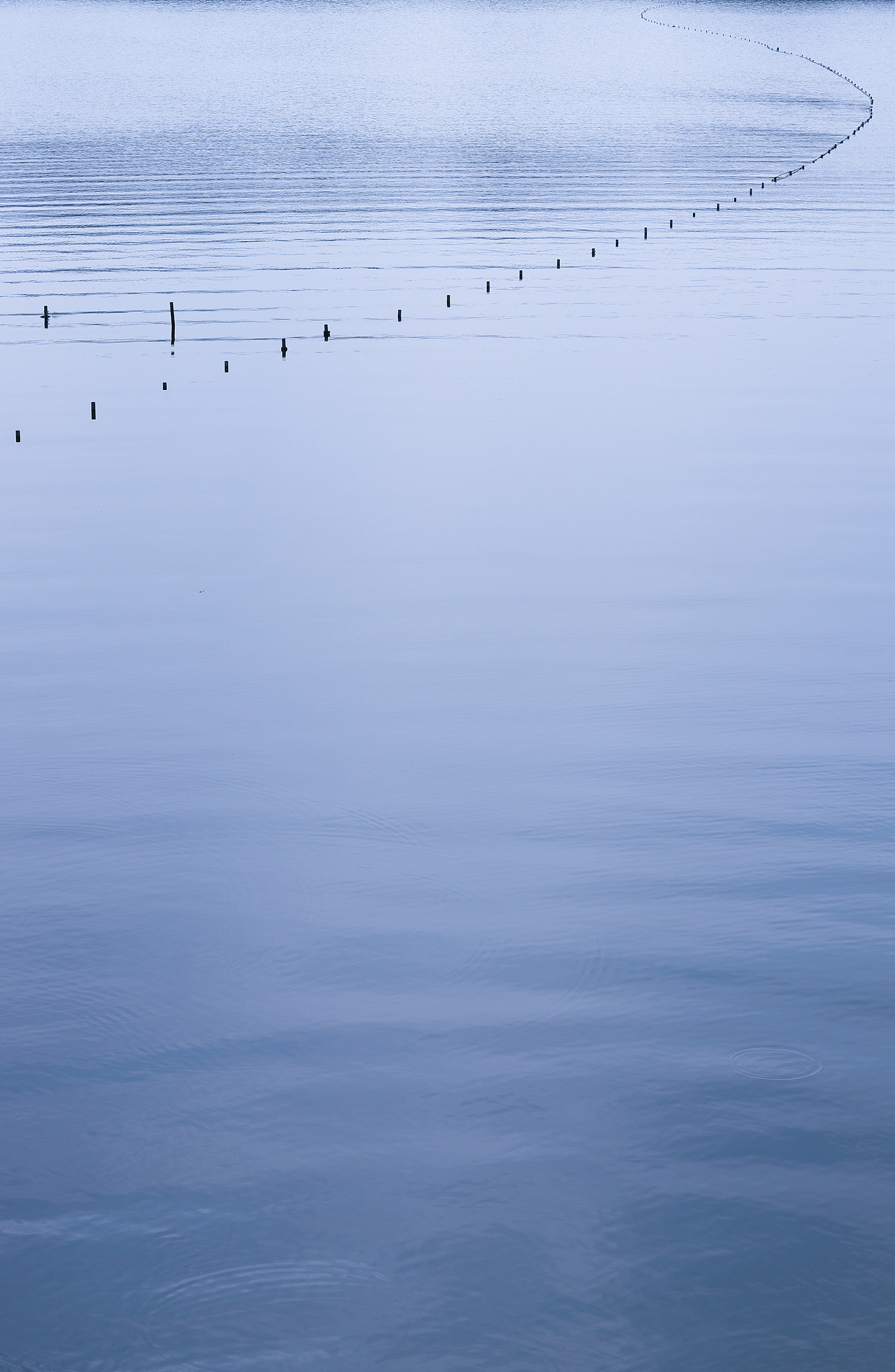 西湖的秋（圖ZMjc1MDgyNjgw） - 人文/紀(jì)實(shí)攝影 - 站酷設(shè)計(jì)師鐘喵原創(chuàng)素材 - 站酷ZCOOL