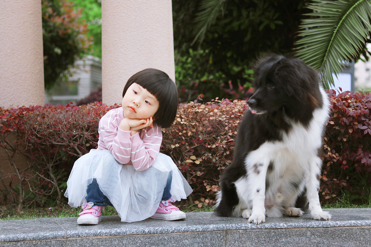 陪伴（图ZNzk1Mzk2MjA=） - 人文/纪实摄影 - 站酷设计师GlaceYyy原创素材 - 站酷ZCOOL