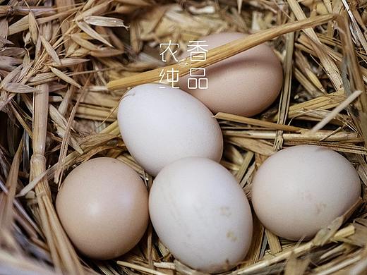 农香纯品（个人主页-ZNDg3NzY4MTI=） - Logo - 站酷设计师dj112原创素材 - 站酷ZCOOL