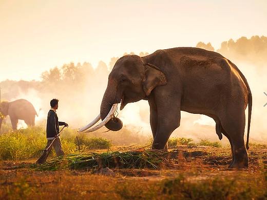 書法畫冊（個人主頁-ZMjgwODg5MTI=） - 書籍/畫冊 - 站酷設計師金秀原創(chuàng)素材 - 站酷ZCOOL