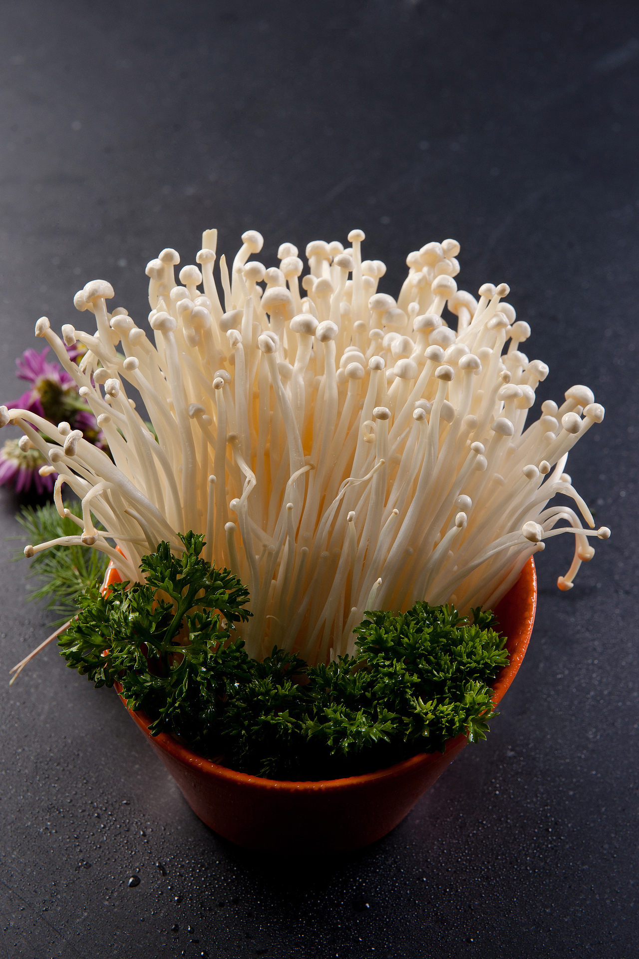 酒店菜谱（图ZOTI2MTY2MA==） - 产品摄影 - 站酷设计师蓝太阳TNT原创素材 - 站酷ZCOOL