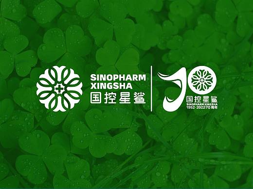  凭“星”而来，“鲨”耀新生。