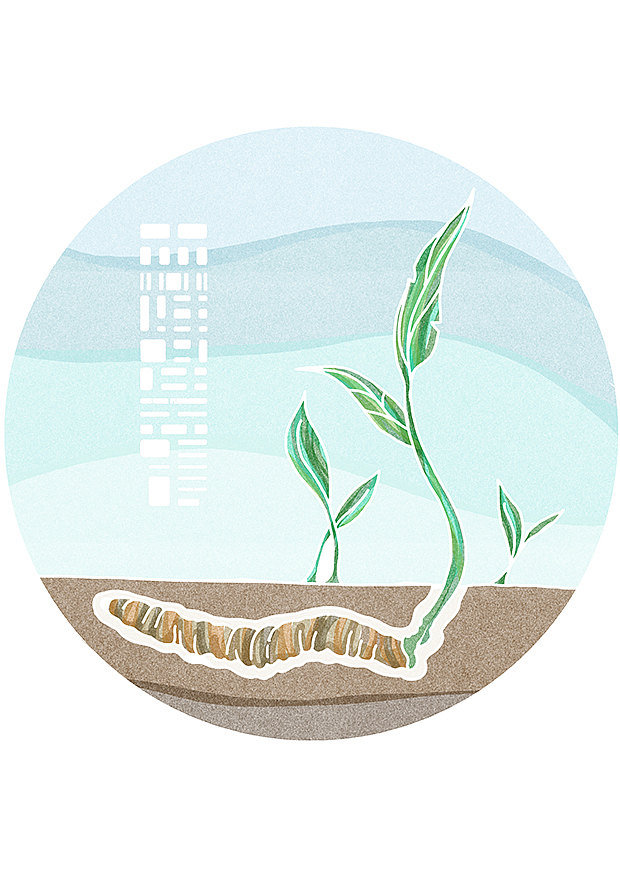 植物与我们的关系充满了秘密式的奇迹（图ZNzQ4OTAyNjA=） - 商业插画 - 站酷设计师森特笑虎原创素材 - 站酷ZCOOL