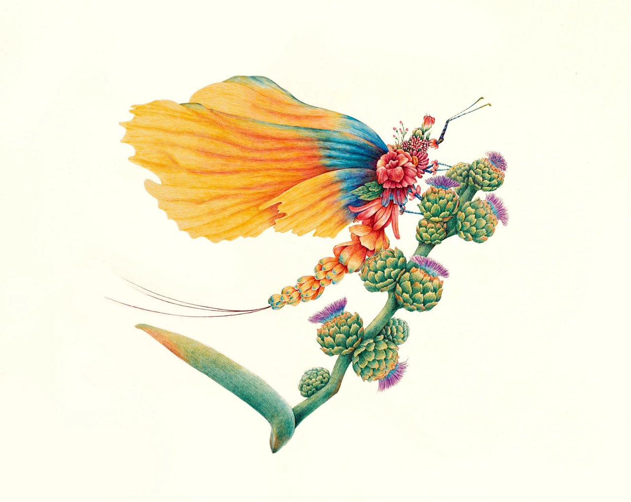 舒展《昆虫记—蜉蝣》