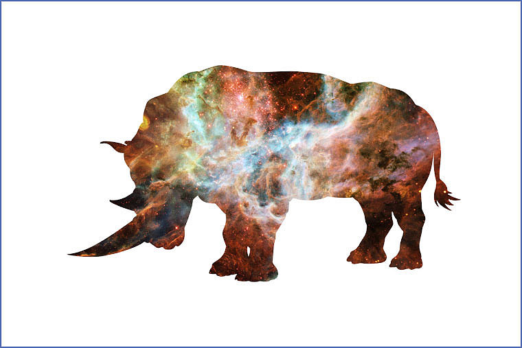 18个动物星空重叠图形妙趣