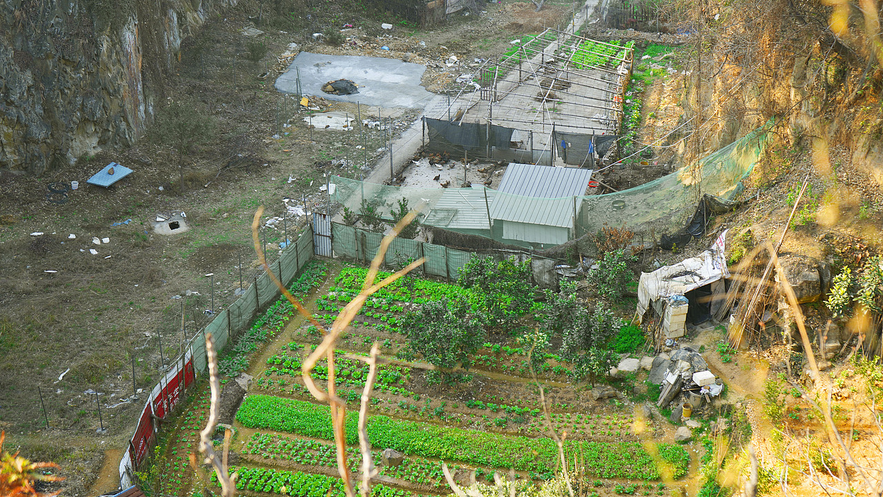 春光暖意（图ZMjQzNDg2MjEy） - 风光摄影 - 站酷设计师雪狐公子原创素材 - 站酷ZCOOL