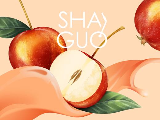 果汁包装设计全案-天拜山沙果汁