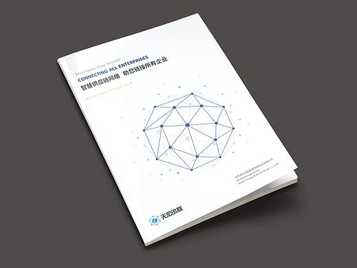 成都科技画册设计/互联网画册/天宏讯联画册