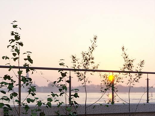 阳台（个人主页-ZNTc0MjM5ODQ=） - 家装设计 - 站酷设计师郑州爱好设计原创素材 - 站酷ZCOOL