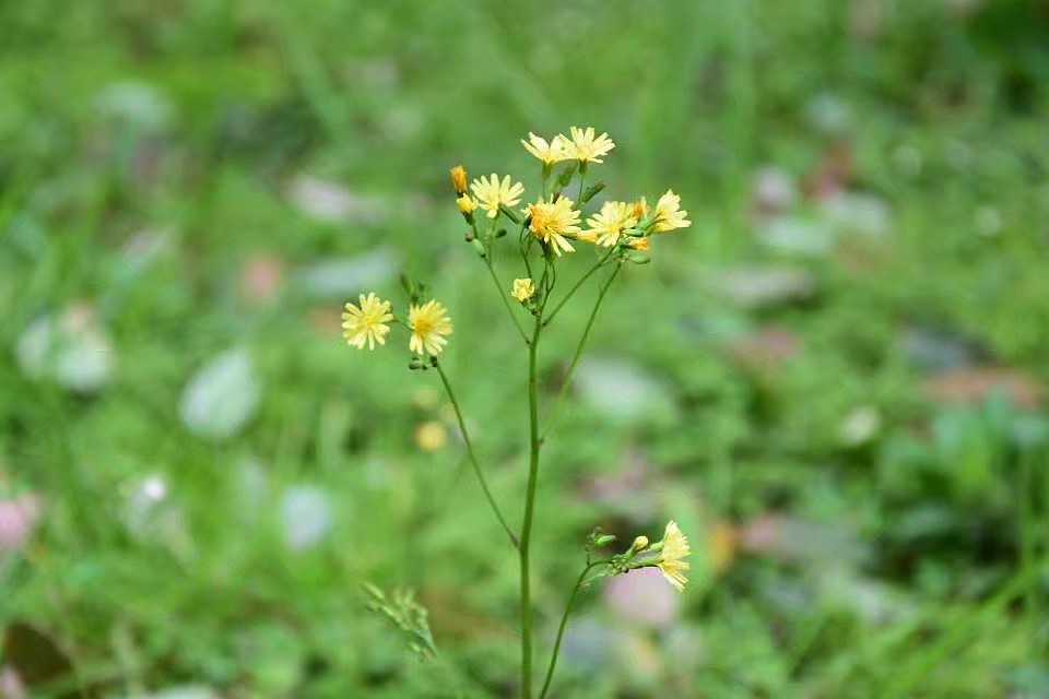 摄影（图ZMTYyMjczOTc2） - 风光摄影 - 站酷设计师鱼肚子里的小孩原创素材 - 站酷ZCOOL