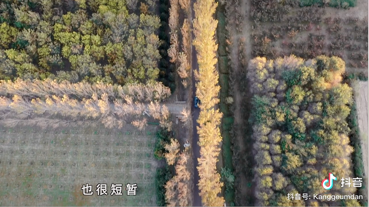 现代库斯托-短视频