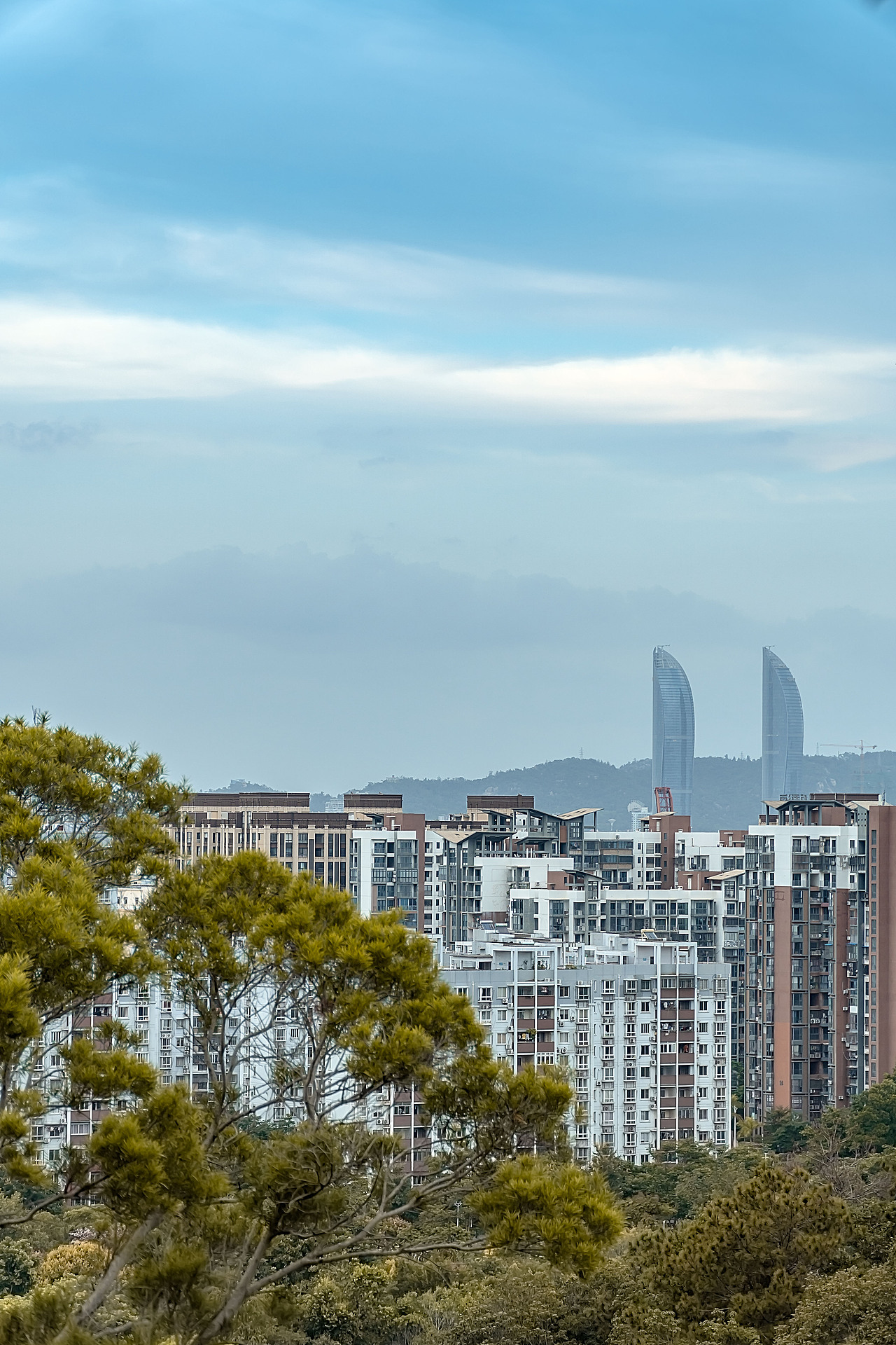 近期街拍作品11.11