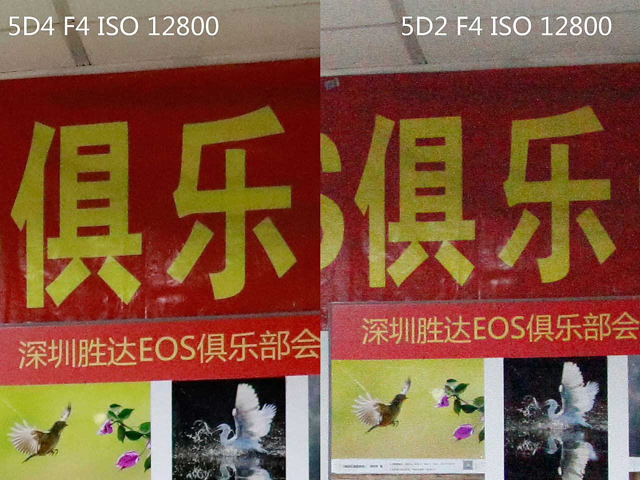 价值 2 万元的 5D4 相机 和 价值 1 万元已经停产的 5D2 相机对比。