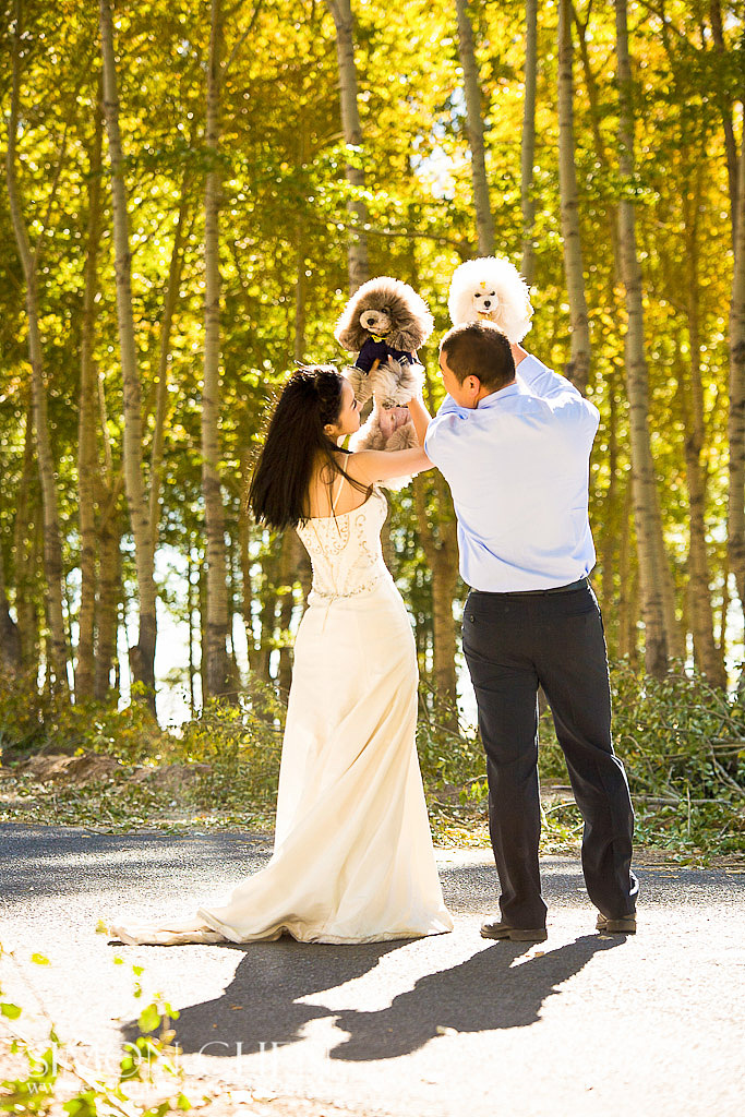 旅行婚纱摄影、纪实婚礼跟拍