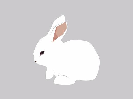 兔兔（个人主页-ZNDEwNDQ3NTY=） - 创作习作 - 站酷设计师ch890601原创素材 - 站酷ZCOOL