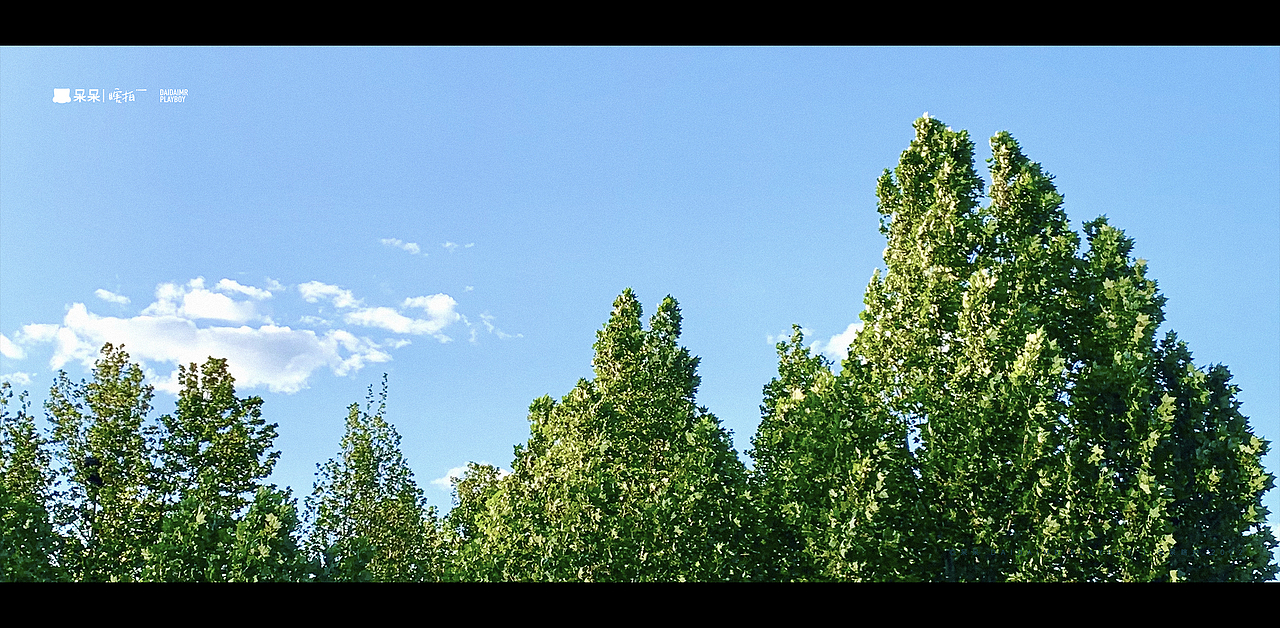 呆呆瞎拍 | 生活就像电影，要有仪式感（图ZMjg3NTYyNTA4） - 人文/纪实摄影 - 站酷设计师呆小东原创素材 - 站酷ZCOOL