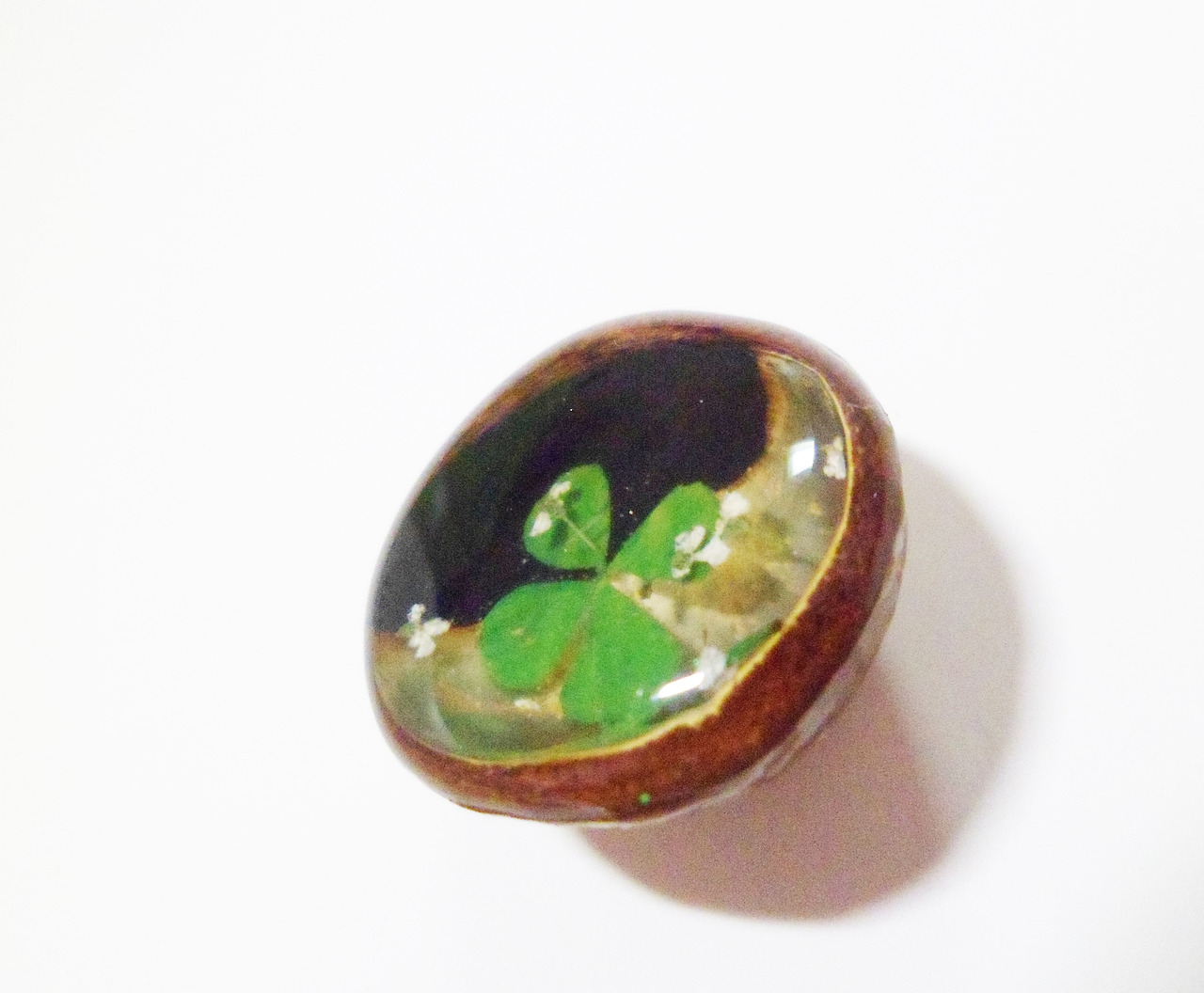 夏威夷果和AB胶--花草（图ZOTM5OTYyOTI=） - 生活用品 - 站酷设计师MK的店原创素材 - 站酷ZCOOL