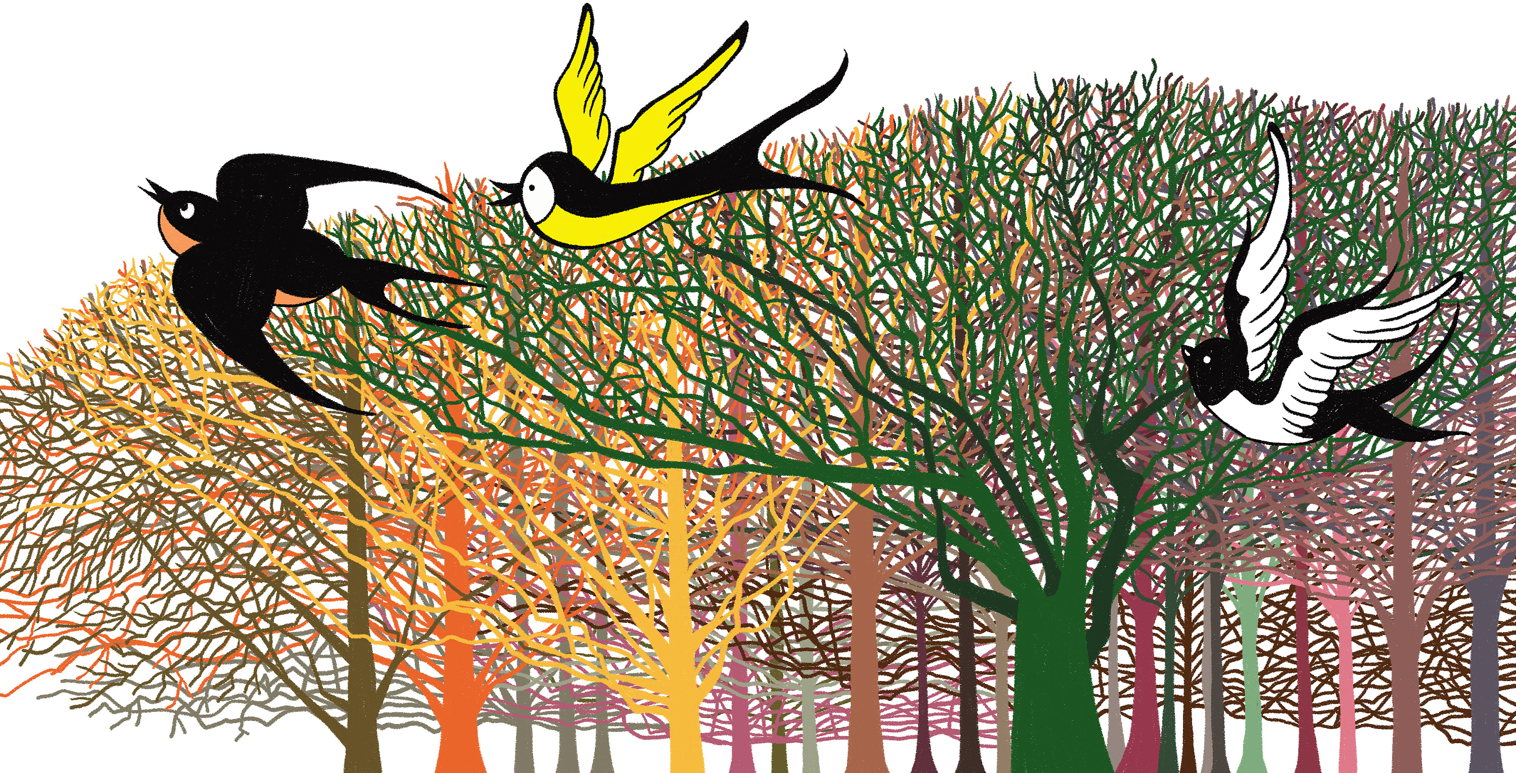 机关书部分作品:动植物,昆虫,交通工具,人物|插画|儿童插画|语陌手绘