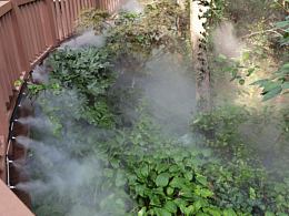 原相機(jī)拍的效果，超棒！