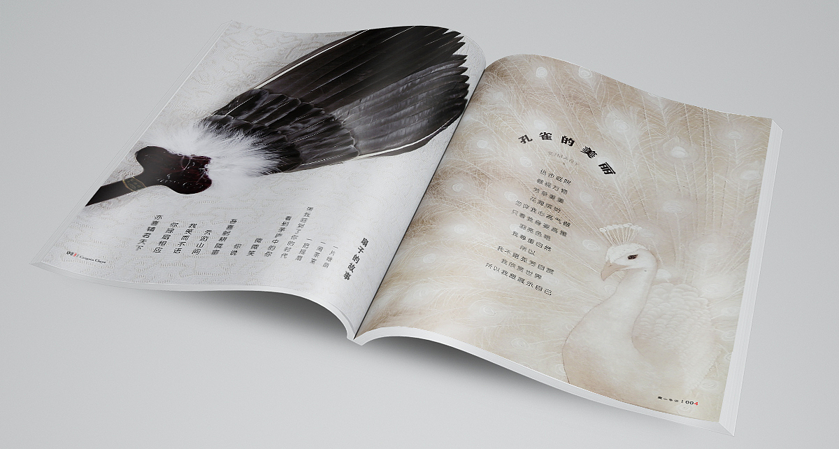 藏心茶语-杂志（图ZMjIwOTUzNzY=） - 书籍/画册 - 站酷设计师你好大海品牌设计原创素材 - 站酷ZCOOL