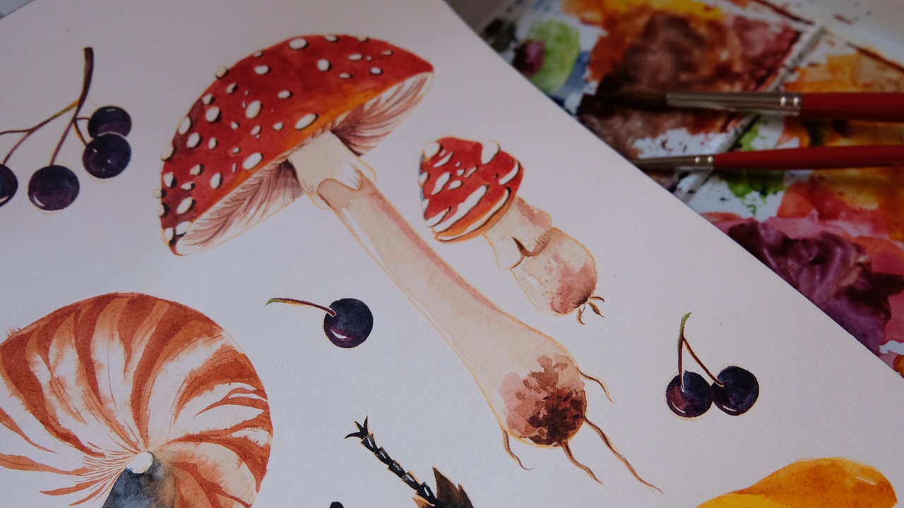 我的自然博物笔记:beetle: