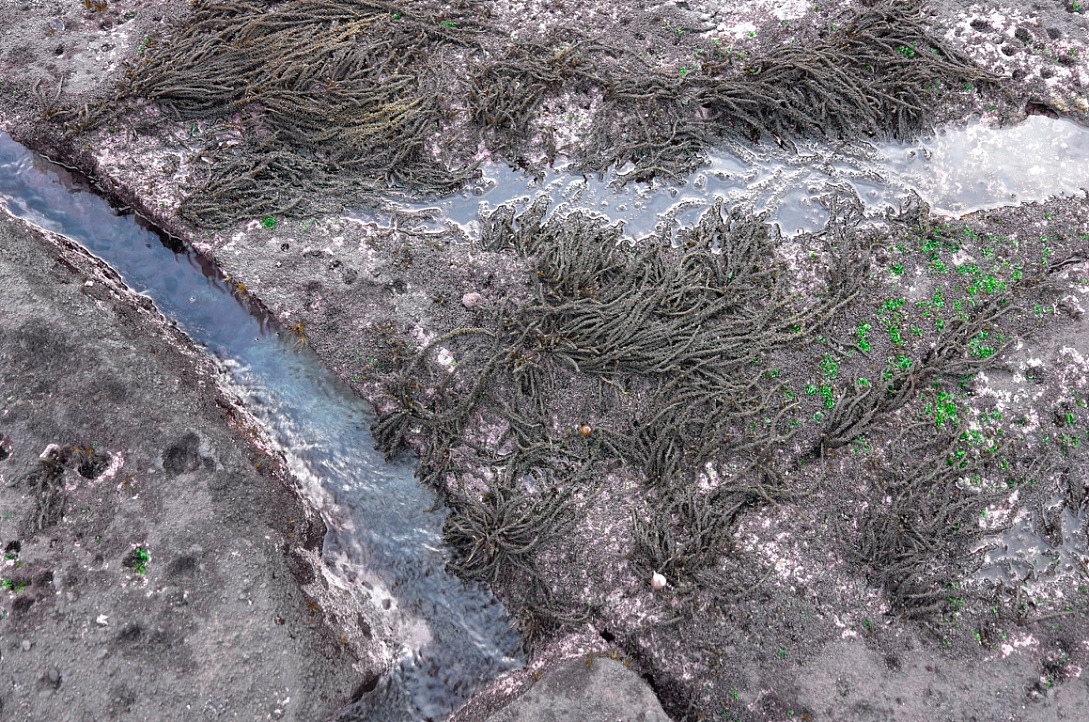 我眼里的济州岛