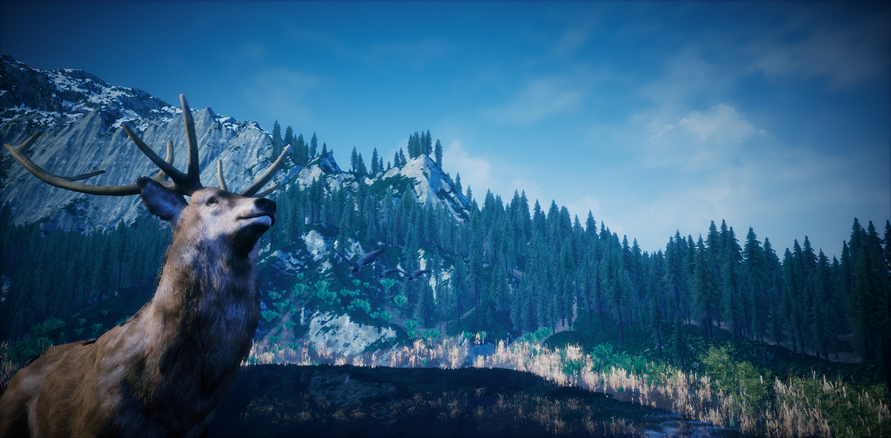 雪域仙踪-The Wizard of Snow（图ZMTczODc0MjEy） - 场景 - 站酷设计师龙骑之舞原创素材 - 站酷ZCOOL