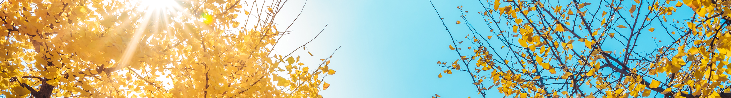 阿木有点木的个人主页（封面预览） - 主页封面设置 - 站酷设计师阿木有点木原创素材 - 站酷ZCOOL