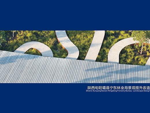 陕西旬阳壩县宁东林业局景观提升改造