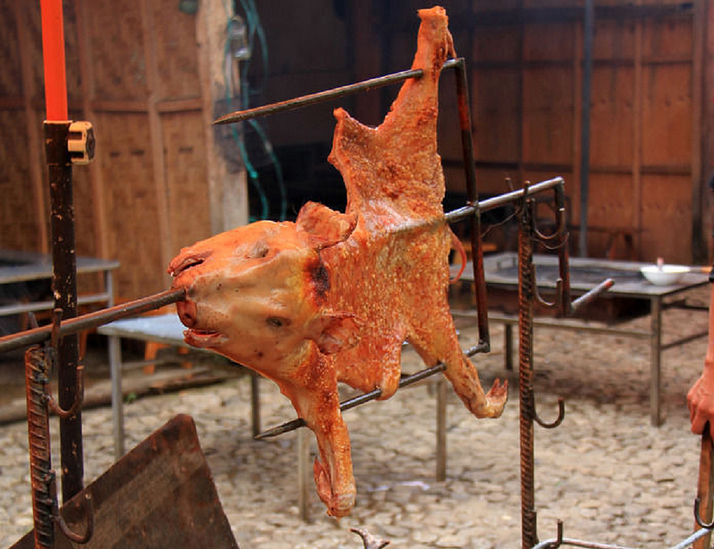 【百色哪里学烤猪技术-YRF红松叶-嘉嘎】