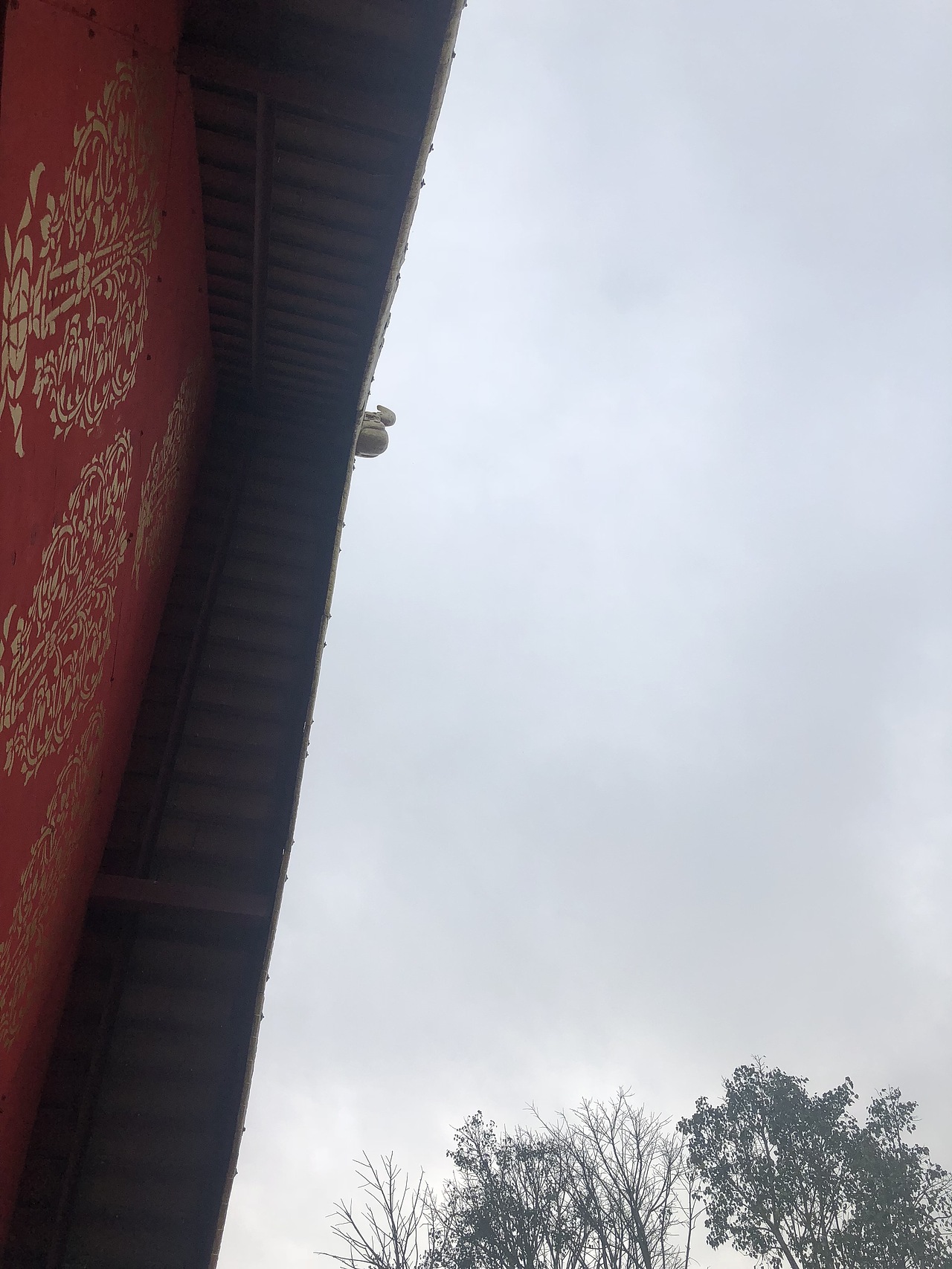 西双版纳📱游客照（图ZMTY1ODMxNzMy） - 人文/纪实摄影 - 站酷设计师1二叁拾原创素材 - 站酷ZCOOL