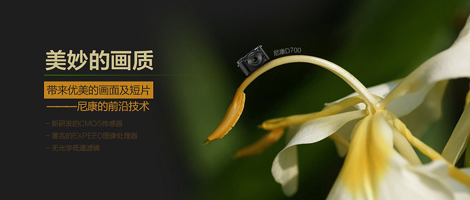 电商（图ZMTY3OTk1MzE2） - 电商 - 站酷设计师初叁原创素材 - 站酷ZCOOL
