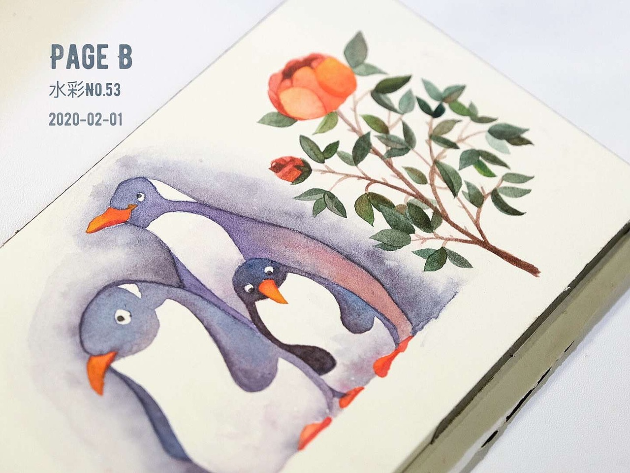 2月水彩练习-临摹