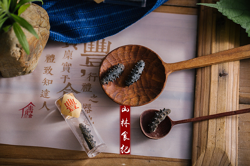 海参（图ZMTIyMDYxMzEy） - 产品摄影 - 站酷设计师山林纪原创素材 - 站酷ZCOOL