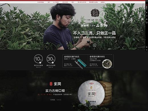 茶类目网页设计作品（个人主页-ZNDMxMjc4MDg=） - 运营设计 - 站酷设计师普pu原创素材 - 站酷ZCOOL