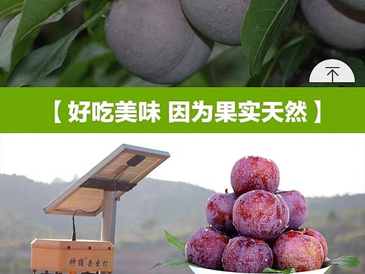 水果