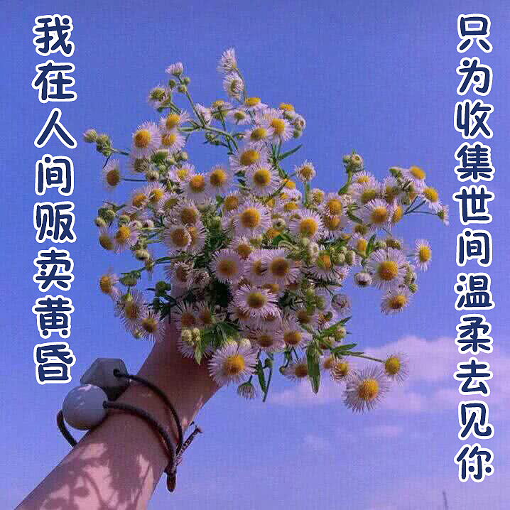 天空之城