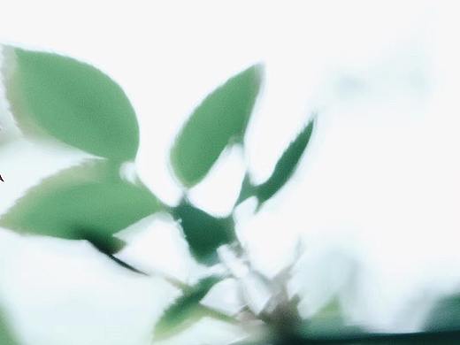 光斑 影子 与光（个人主页-ZNDM2NzkyNTY=） - 风光摄影 - 站酷设计师七月里听风原创素材 - 站酷ZCOOL