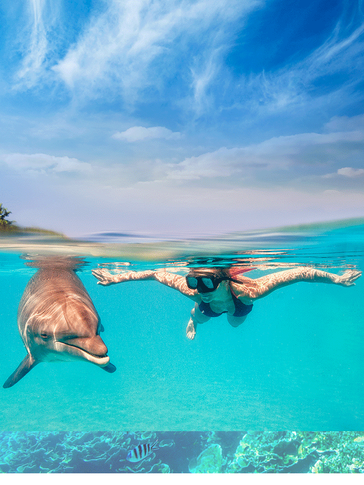 19年下半年作品（图ZMjEwNzQ0MzA0） - 电商 - 站酷设计师贤妻凉母原创素材 - 站酷ZCOOL