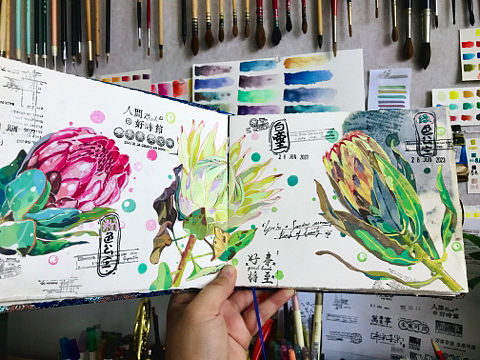 画花的日常（个人主页-ZNTcyMDcwNjQ=） - 创作习作 - 站酷设计师卯吉兔原创素材 - 站酷ZCOOL