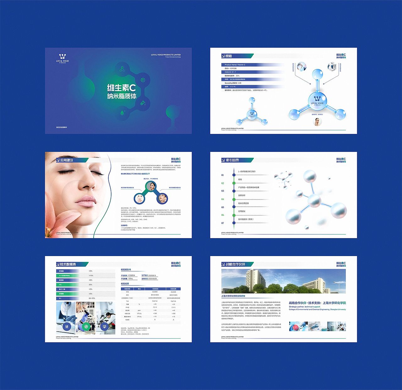 基因细胞美容PPT设计